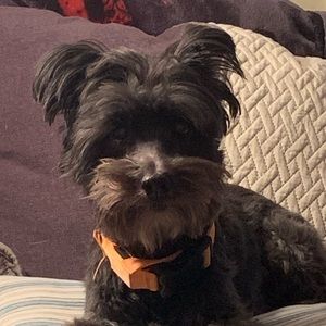 Meet your Posher, Bryce